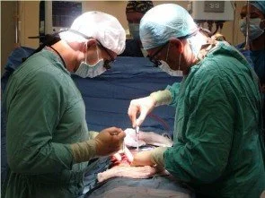 Suspensão dos transplantes em MS
