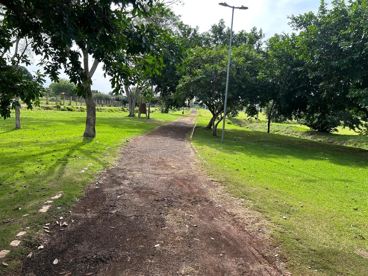 Dia Mundial do Meio Ambiente: Geraldo celebra 11 anos do Parque do Rego d’Água, uma grande conquista para Dourados